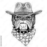 Countrydog5's Avatar